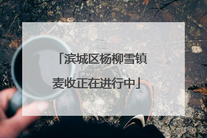 滨城区杨柳雪镇麦收正在进行中