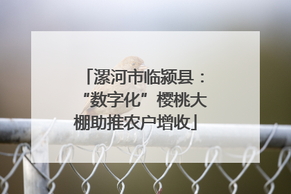 漯河市临颍县：“数字化”樱桃大棚助推农户增收