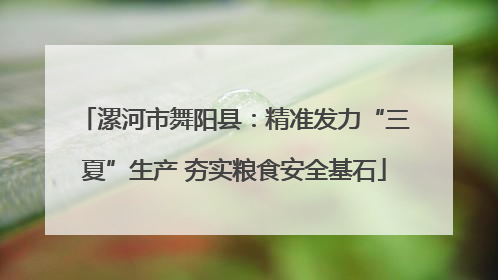 漯河市舞阳县：精准发力“三夏”生产 夯实粮食安全基石