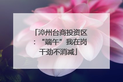 漳州台商投资区：“端午”我在岗 干劲不消减