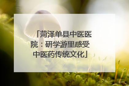 菏泽单县中医医院：研学游里感受中医药传统文化