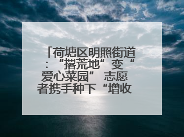 荷塘区明照街道：“撂荒地”变“爱心菜园” 志愿者携手种下“增收希望”