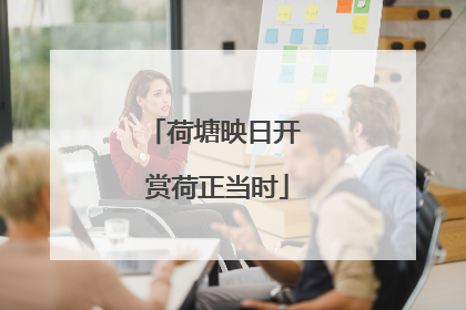 荷塘映日开 赏荷正当时