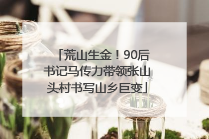 荒山生金！90后书记马传力带领张山头村书写山乡巨变