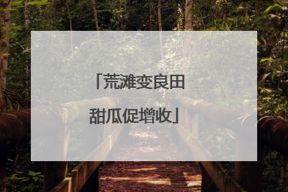 荒滩变良田 甜瓜促增收