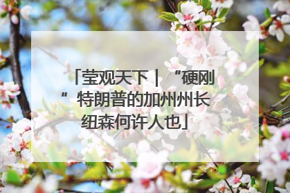 莹观天下｜“硬刚”特朗普的加州州长纽森何许人也