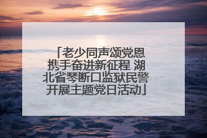老少同声颂党恩 携手奋进新征程 湖北省琴断口监狱民警开展主题党日活动