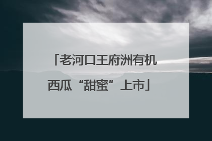 老河口王府洲有机西瓜“甜蜜”上市