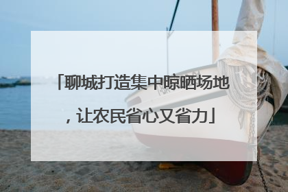 聊城打造集中晾晒场地，让农民省心又省力