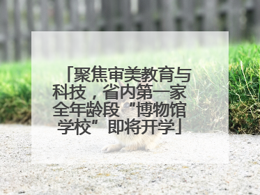 聚焦审美教育与科技，省内第一家全年龄段“博物馆学校”即将开学