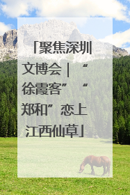 聚焦深圳文博会｜“徐霞客”“郑和”恋上江西仙草