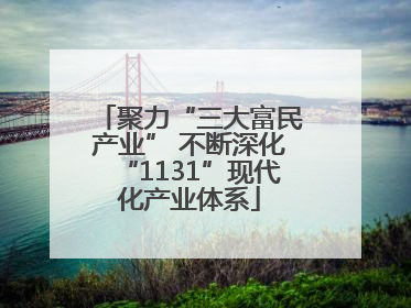 聚力“三大富民产业” 不断深化“1131”现代化产业体系