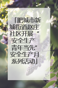 肥城市新城街道赵庄社区开展“安全生产 青年当先”安全生产月系列活动