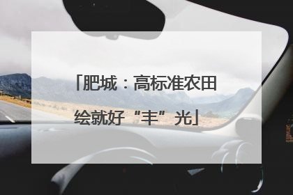 肥城：高标准农田绘就好“丰”光