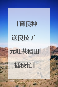 育良种 送良技 广元旺苍稻田插秧忙