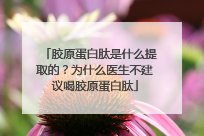 胶原蛋白肽是什么提取的？为什么医生不建议喝胶原蛋白肽