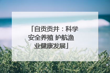 自贡贡井：科学安全养殖 护航渔业健康发展