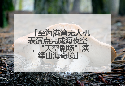 至海港湾无人机表演点亮威海夜空，“天空剧场”演绎山海奇境
