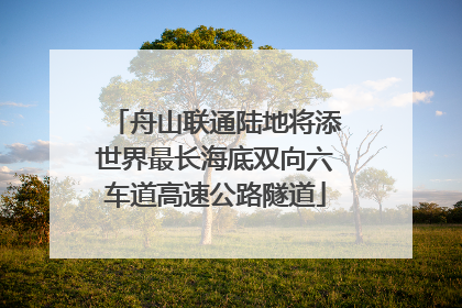 舟山联通陆地将添世界最长海底双向六车道高速公路隧道