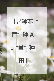 芒种不“盲”种 AI“慧”种田