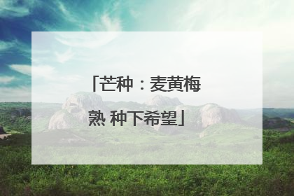 芒种：麦黄梅熟 种下希望