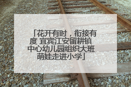 花开有时，衔接有度 宜宾江安留耕镇中心幼儿园组织大班萌娃走进小学