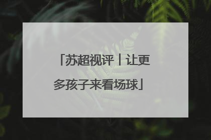 苏超视评︱让更多孩子来看场球