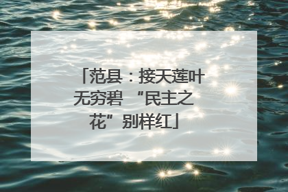 范县：接天莲叶无穷碧 “民主之花”别样红