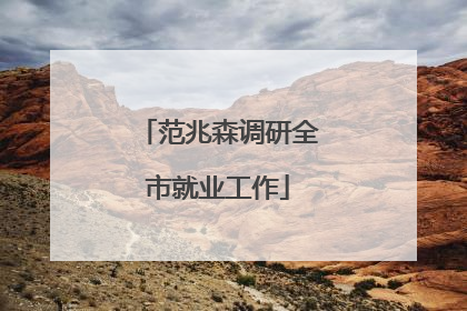 范兆森调研全市就业工作