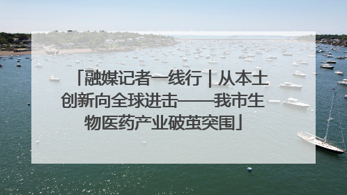 融媒记者一线行｜从本土创新向全球进击——我市生物医药产业破茧突围