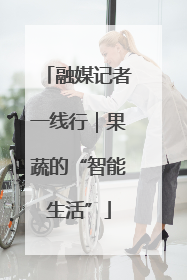融媒记者一线行｜果蔬的“智能生活”