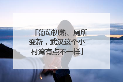 葡萄初熟、厕所变新，武汉这个小村湾有点不一样