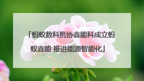 蚂蚁数科携协鑫能科成立蚂蚁鑫能 推进能源智能化