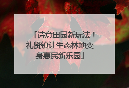 诗意田园新玩法！礼贤镇让生态林地变身惠民新乐园