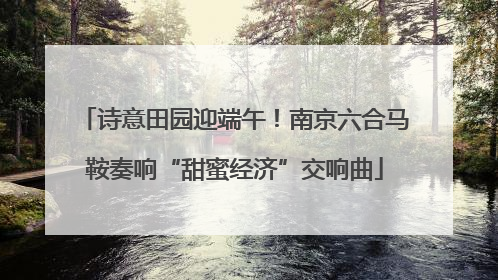 诗意田园迎端午！南京六合马鞍奏响“甜蜜经济”交响曲