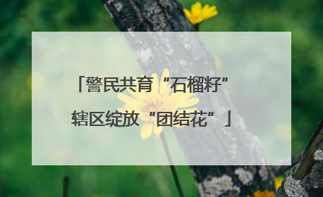 警民共育“石榴籽” 辖区绽放“团结花”
