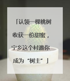 认领一棵桃树收获一份甜蜜，宁乡这个村邀你成为“树主”