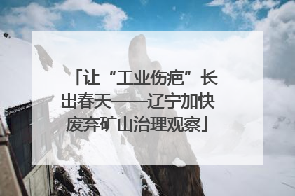 让“工业伤疤”长出春天——辽宁加快废弃矿山治理观察