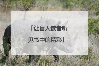 让盲人读者听见书中的精彩