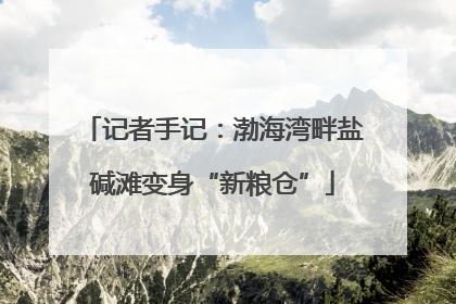记者手记：渤海湾畔盐碱滩变身“新粮仓”