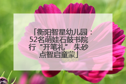 衡阳智星幼儿园：52名萌娃石鼓书院行“开笔礼” 朱砂点智启童蒙