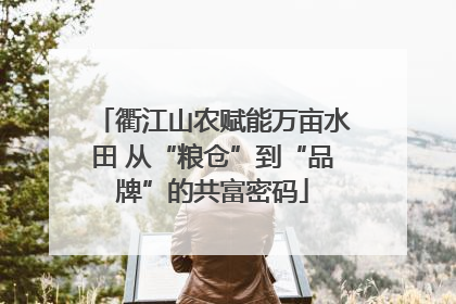 衢江山农赋能万亩水田 从“粮仓”到“品牌”的共富密码