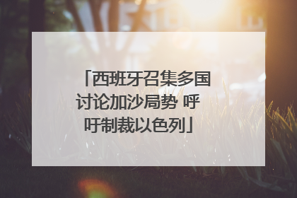 西班牙召集多国讨论加沙局势 呼吁制裁以色列