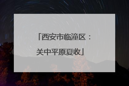 西安市临潼区：关中平原夏收