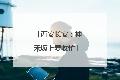 西安长安：神禾塬上麦收忙