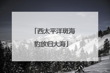 西太平洋斑海豹放归大海