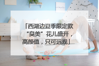 西湖边夏季限定款“臭美”花儿盛开，高颜值，只可远观