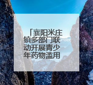 襄阳米庄镇多部门联动开展青少年药物滥用防范宣传
