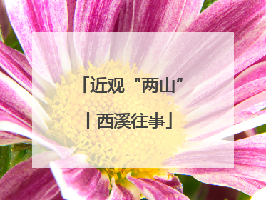 近观“两山”丨西溪往事
