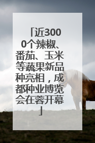 近3000个辣椒、番茄、玉米等蔬果新品种亮相，成都种业博览会在蓉开幕